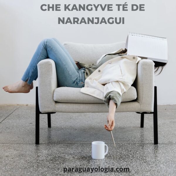 Cha kangyve té de naranjagui