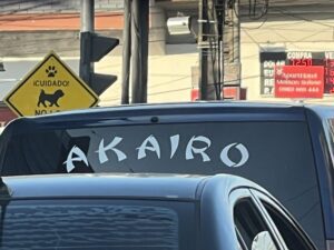 Akairo significa estoy decepcionado 